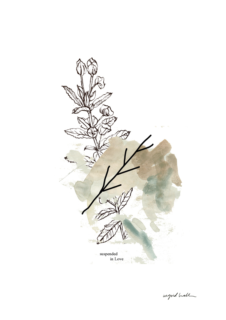suspended-in-love-a3